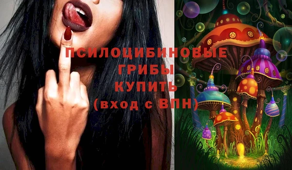 прущие грибы Новокубанск