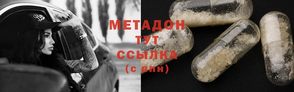 прущие грибы Новокубанск