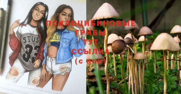 прущие грибы Новокубанск
