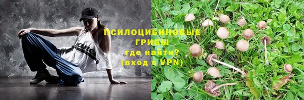 MDMA Premium VHQ Новозыбков