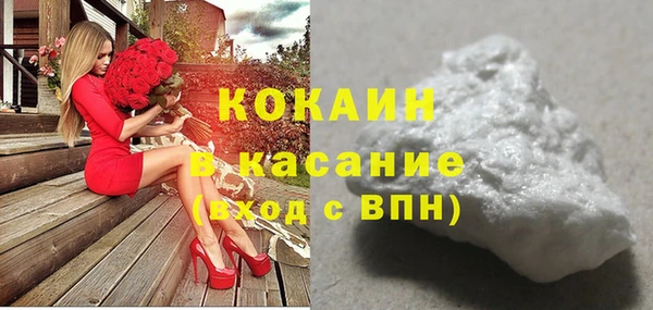 прущие грибы Новокубанск