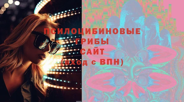 прущие грибы Новокубанск