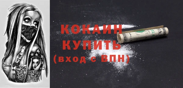 прущие грибы Новокубанск