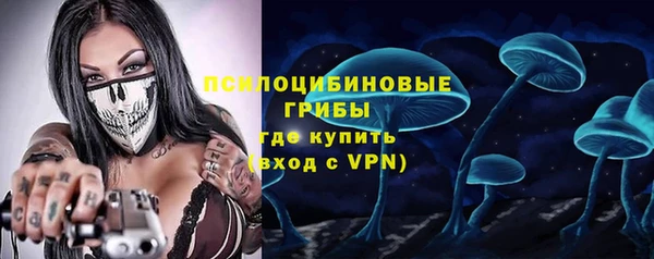 MDMA Premium VHQ Новозыбков