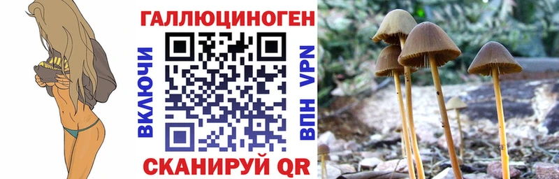 купить   даркнет клад  Галлюциногенные грибы MAGIC MUSHROOMS  Новотитаровская 